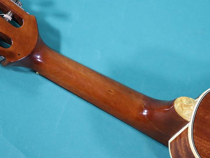 Hofner MANDOLIN（ビンテージ）【楽器検索デジマート】