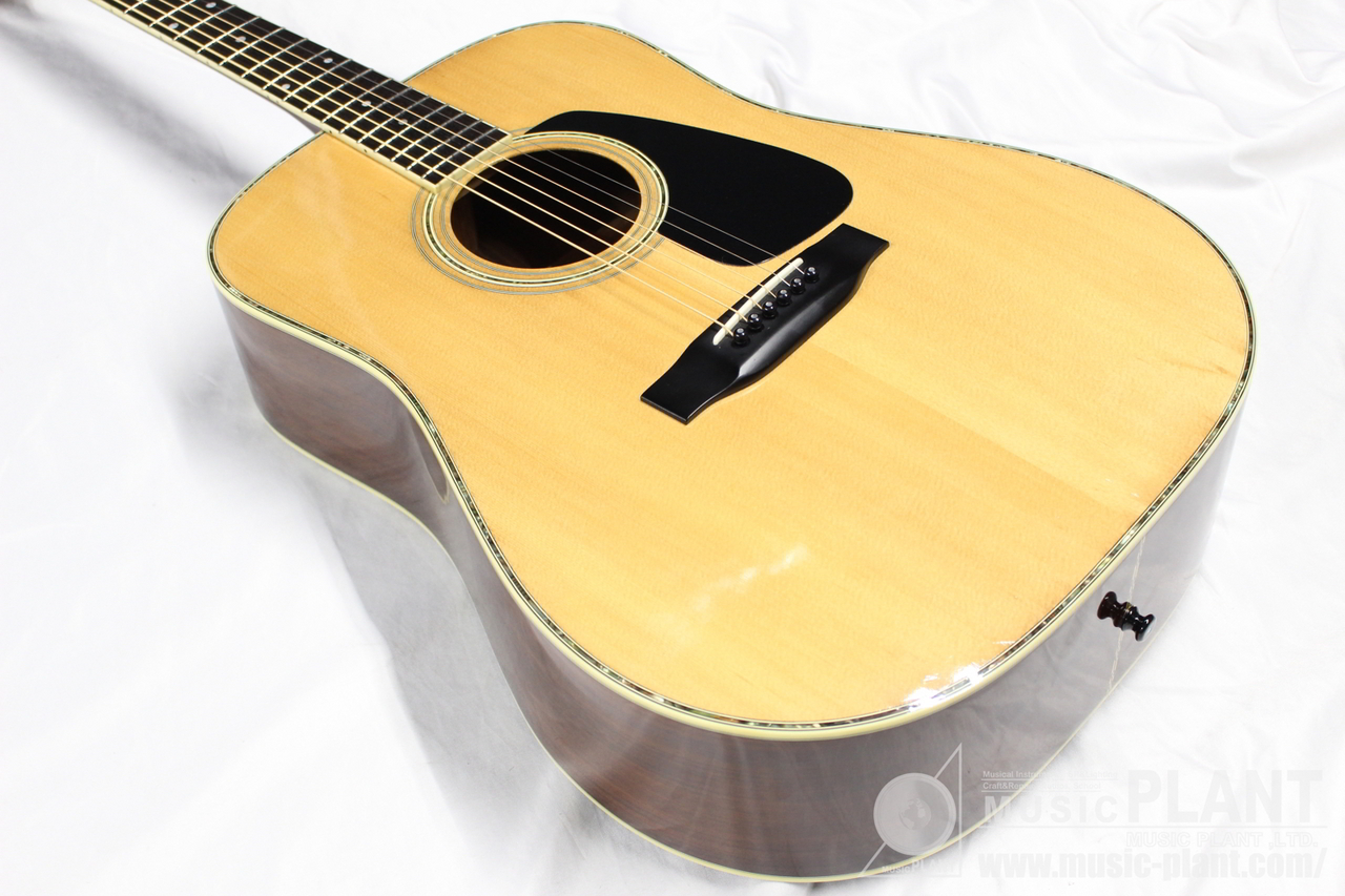 Morris MD-515 NA（中古）【楽器検索デジマート】