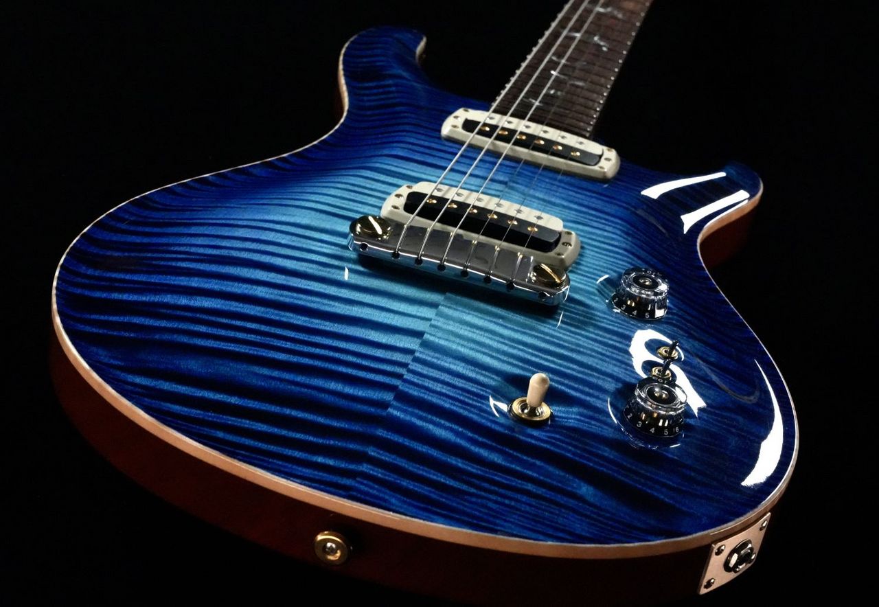 Paul Reed Smith(PRS) Private Stock #10273 Paul's Guitar/Aqua