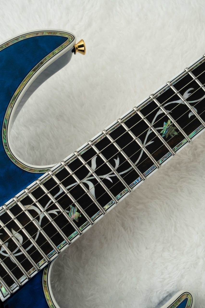 EDWARDS E-CY-CTM -Dark Aqua- 【限定生産モデル】（新品/送料無料