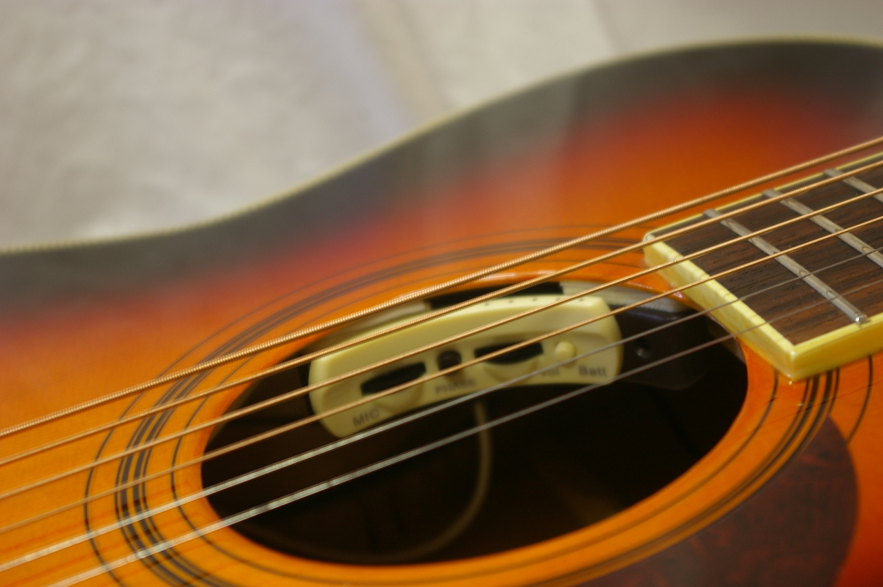 Stafford SF-250F₋BS（中古）【楽器検索デジマート】