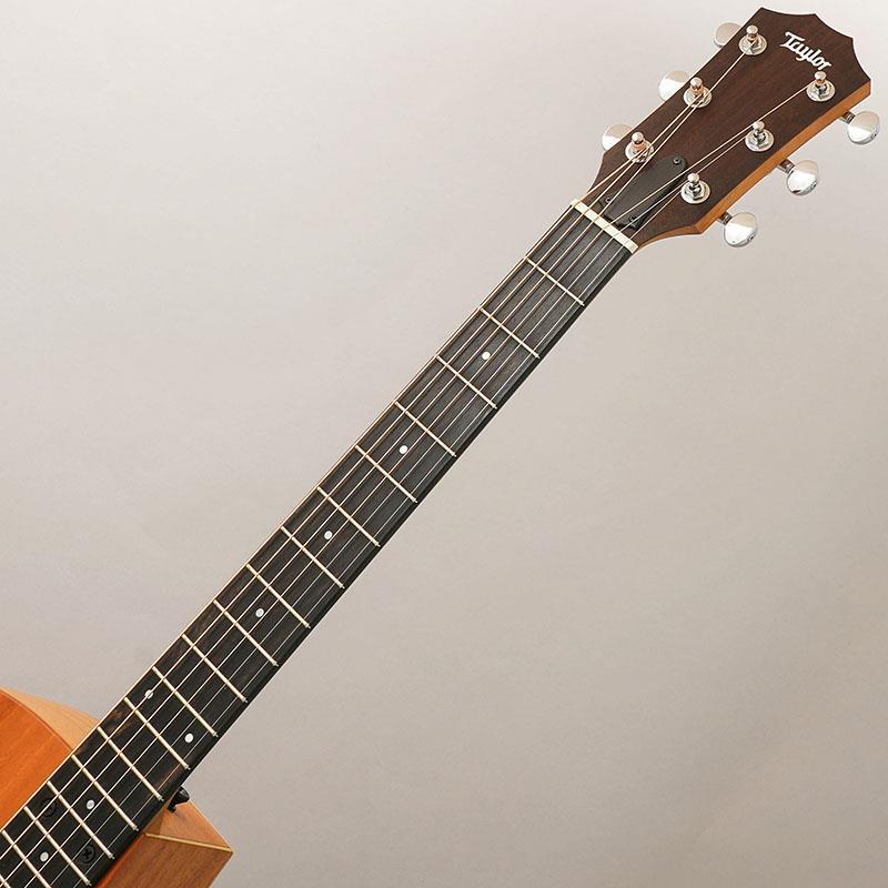 Taylor 24ce テイラー（新品）【楽器検索デジマート】