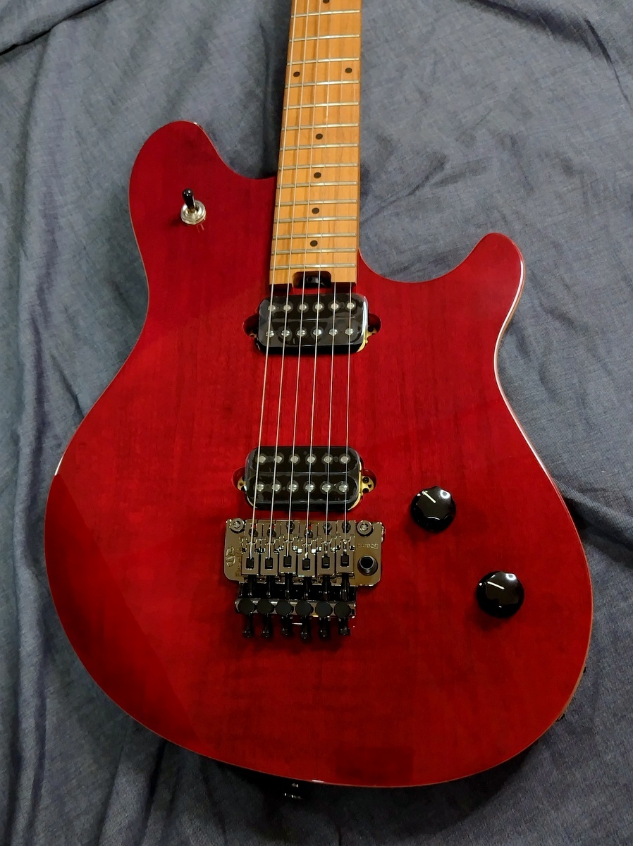 EVH WG STD BKD MPL WINE RED Wolfgang Standard Wine Red（新品特価