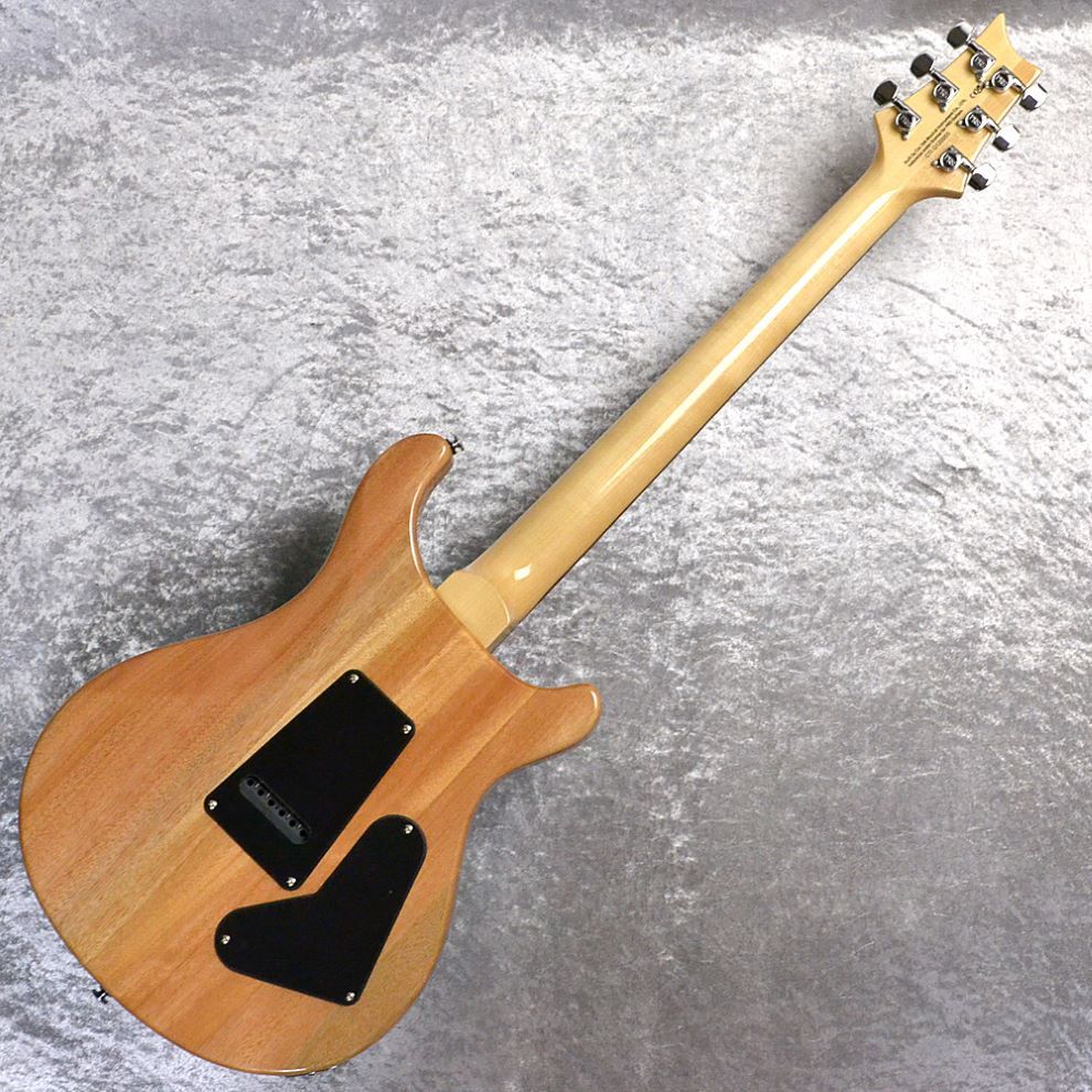 Paul Reed Smith(PRS) SE Custom24 Lefty 【Turquoise】Left