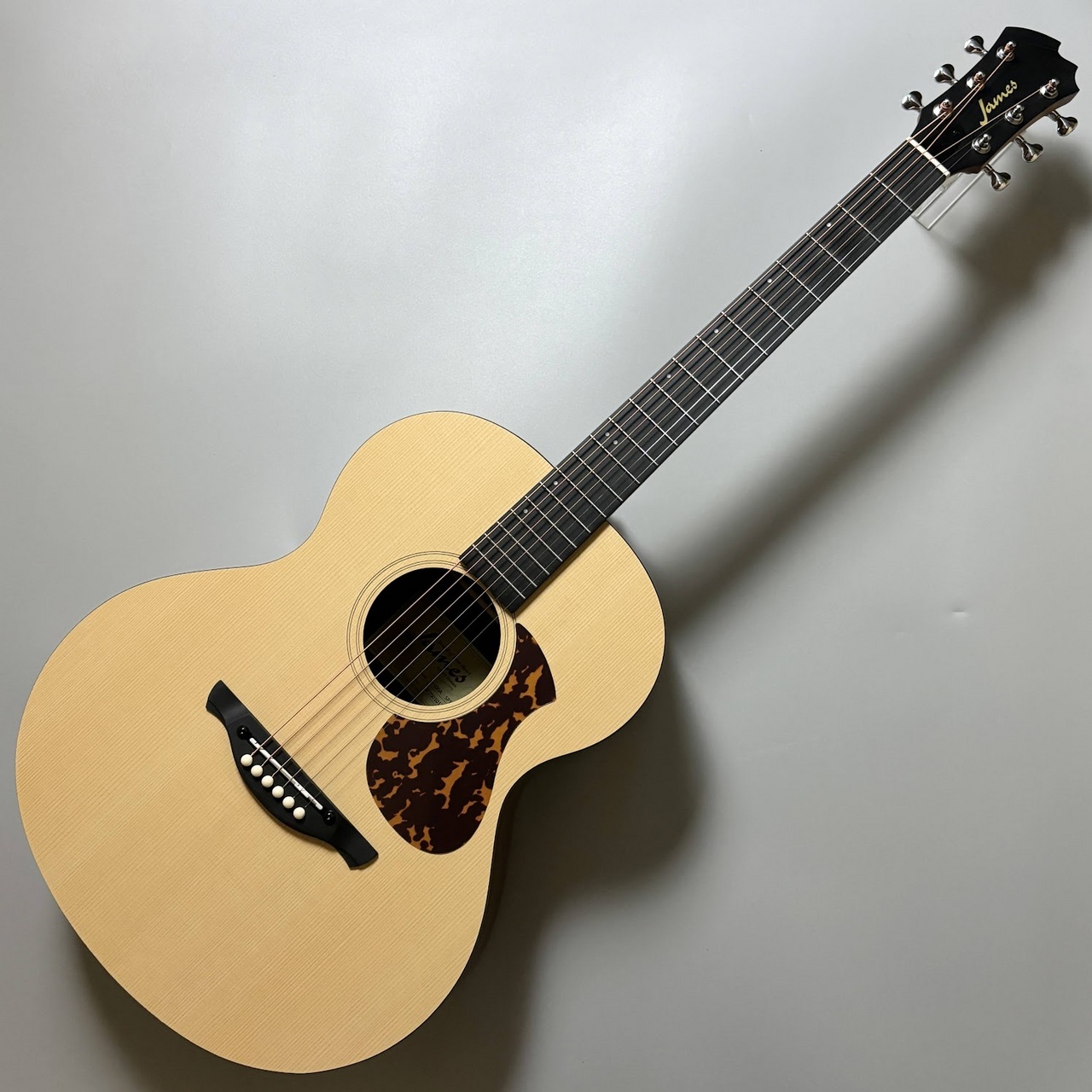 James J-100A SPT アコースティックギター ギグケース付属