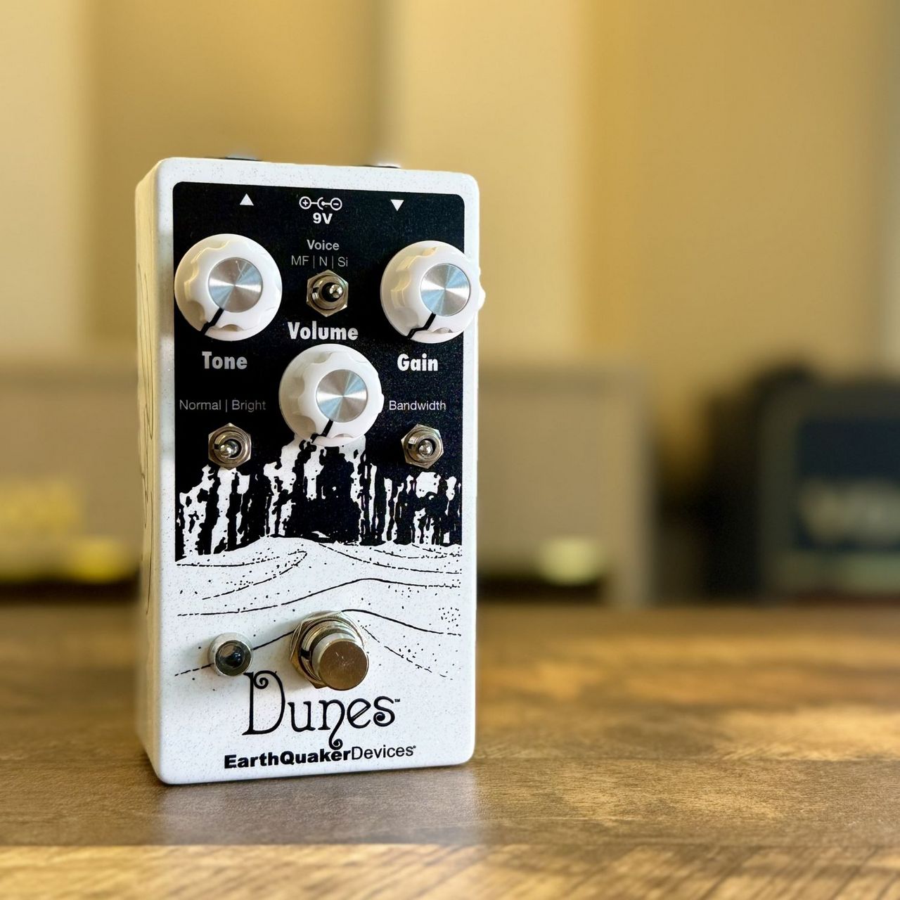 EarthQuaker Devices Palisades 中尾憲太郎 サイン入 EarthQuaker Devices Dunes【1台限定、中尾憲太郎×三島想平サイン入り