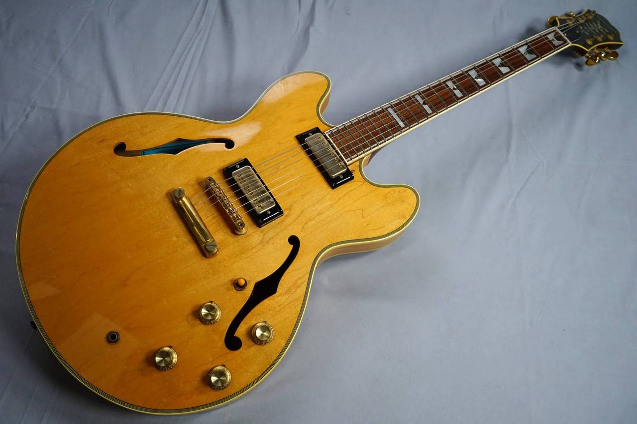 Epiphone john lee hooker sheraton（中古/送料無料）【楽器検索