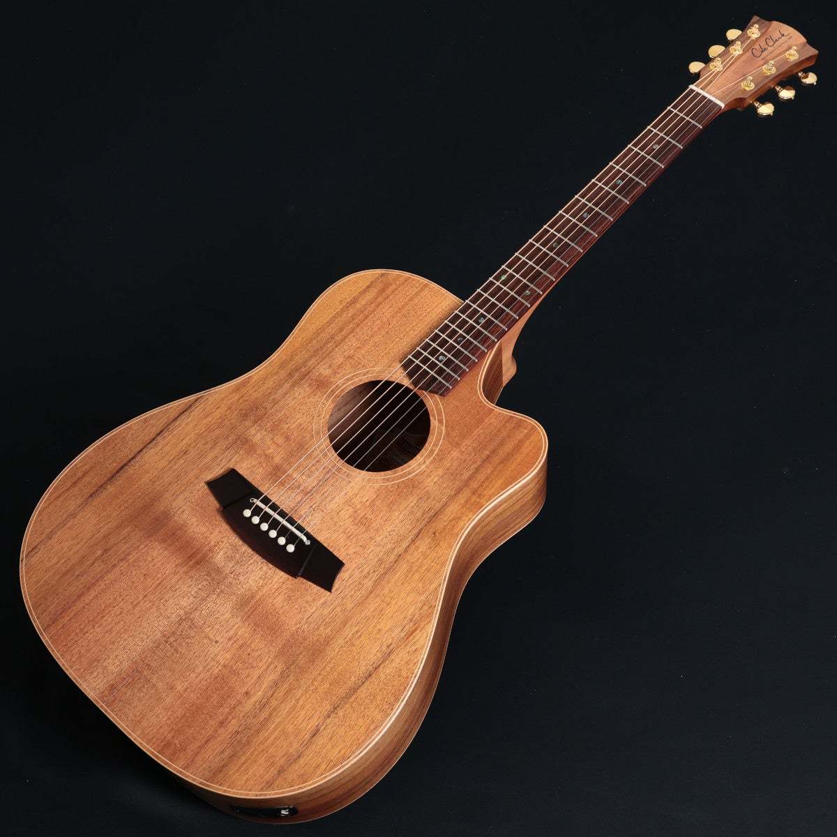 Cole Clark Touring Series FL2EC-BLBLR All Blackwood Rosewood