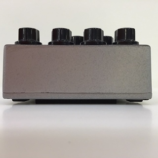 TECH21 U.S.Steel（新品特価/送料無料）【楽器検索デジマート】