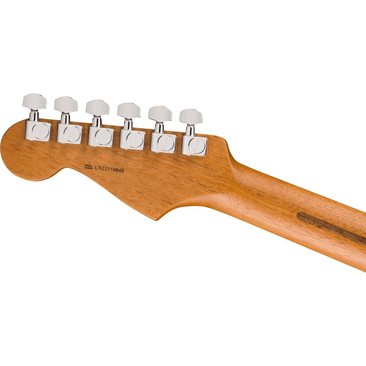 Fender American Professional II Stratocaster HH Rosewood