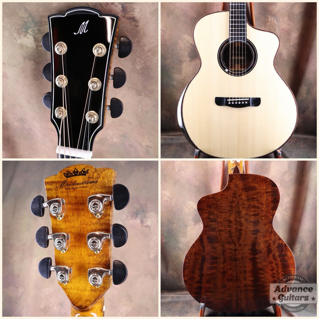 Merida extrema 【再入荷!】Cobra-EQ（新品）【楽器検索デジマート】