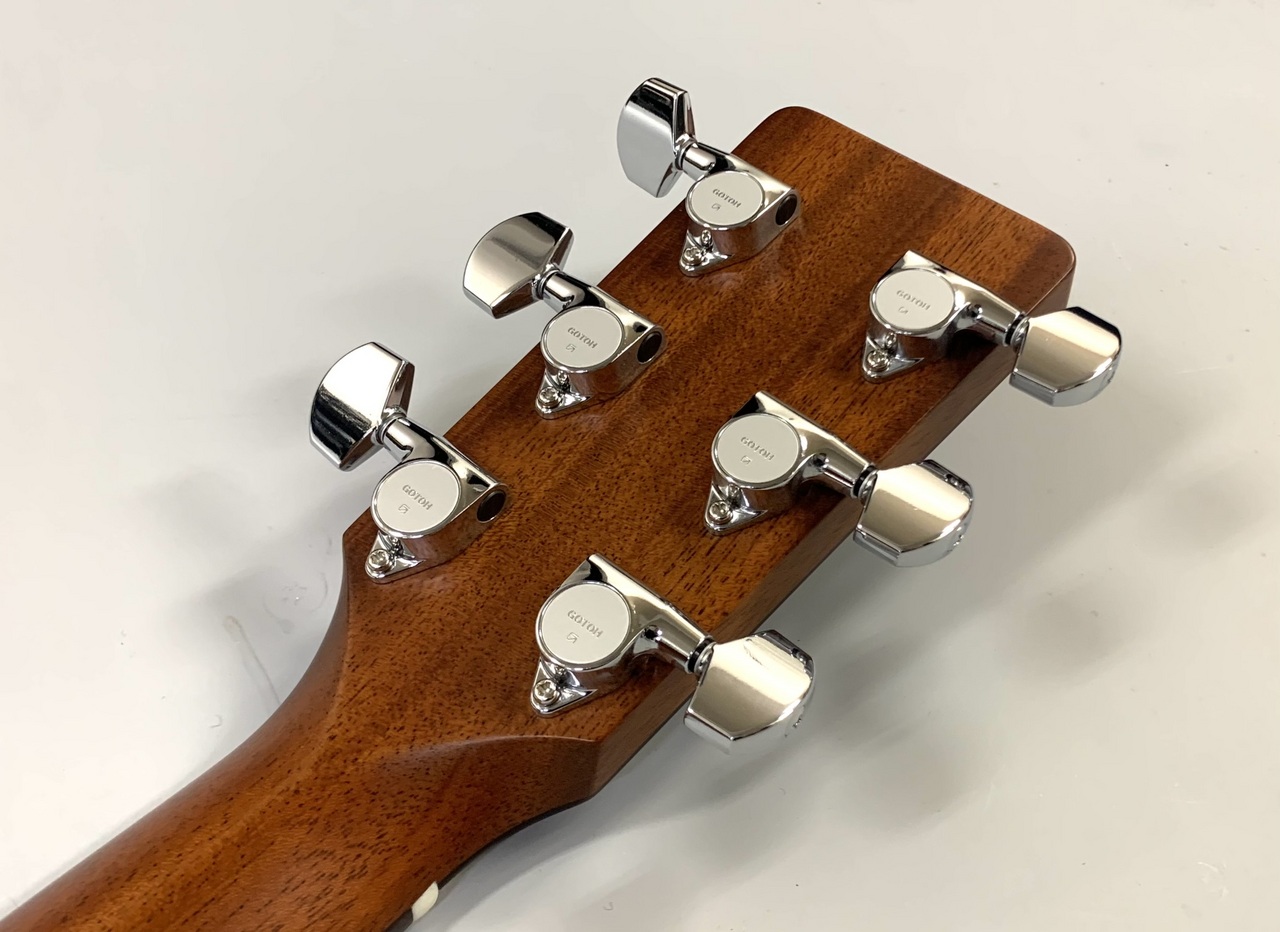 K.Yairi Standard Series DY-18（新品）【楽器検索デジマート】