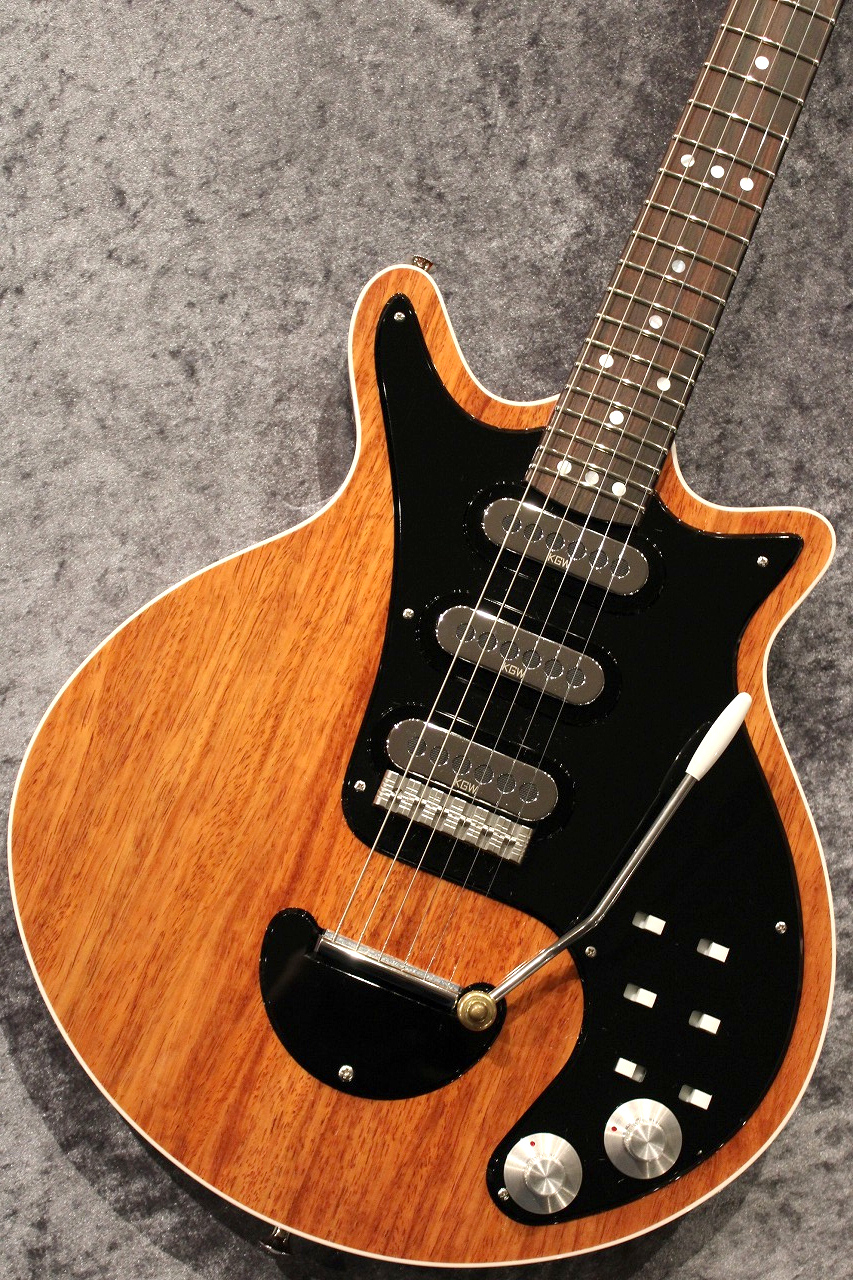 Kz Guitar Works Kz RS 