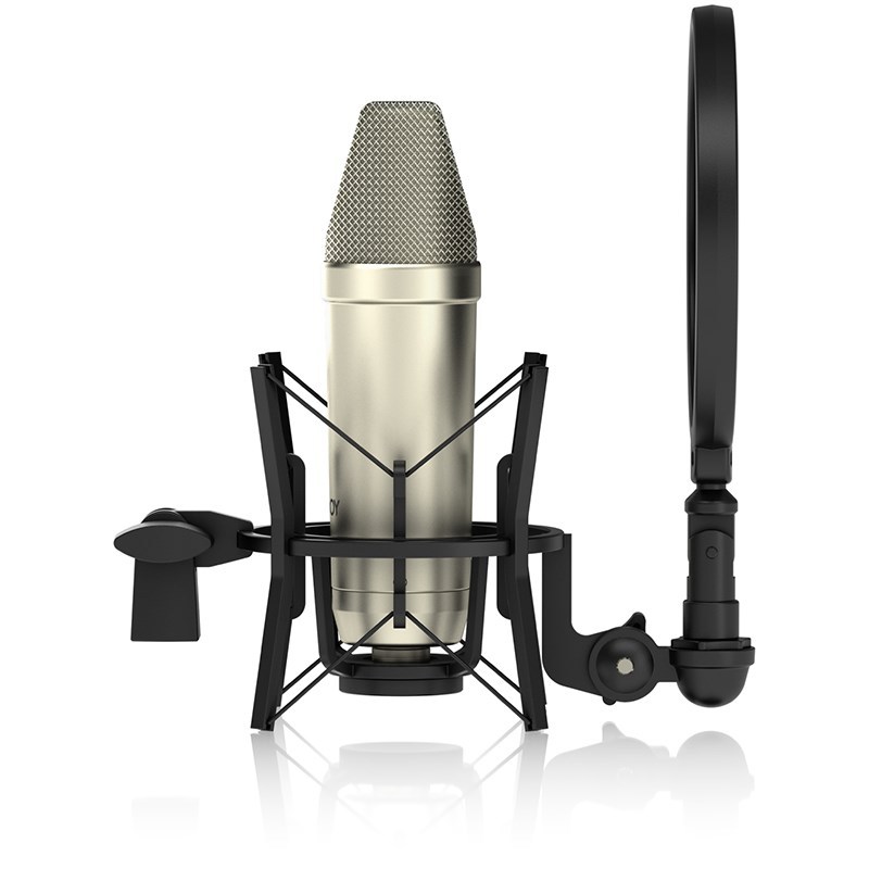 TANNOY TM1 コンデンサーマイク　美品 Tannoy TM1【プレミアムラージコンデンサーマイクロフォン