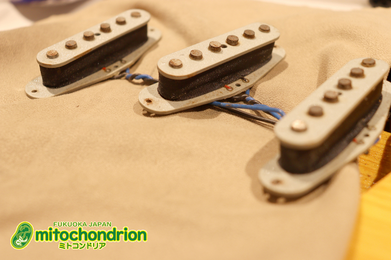 Tokai 1980年製 SILVER STAR SS-48 / Yellow Sunburst（中古）【楽器