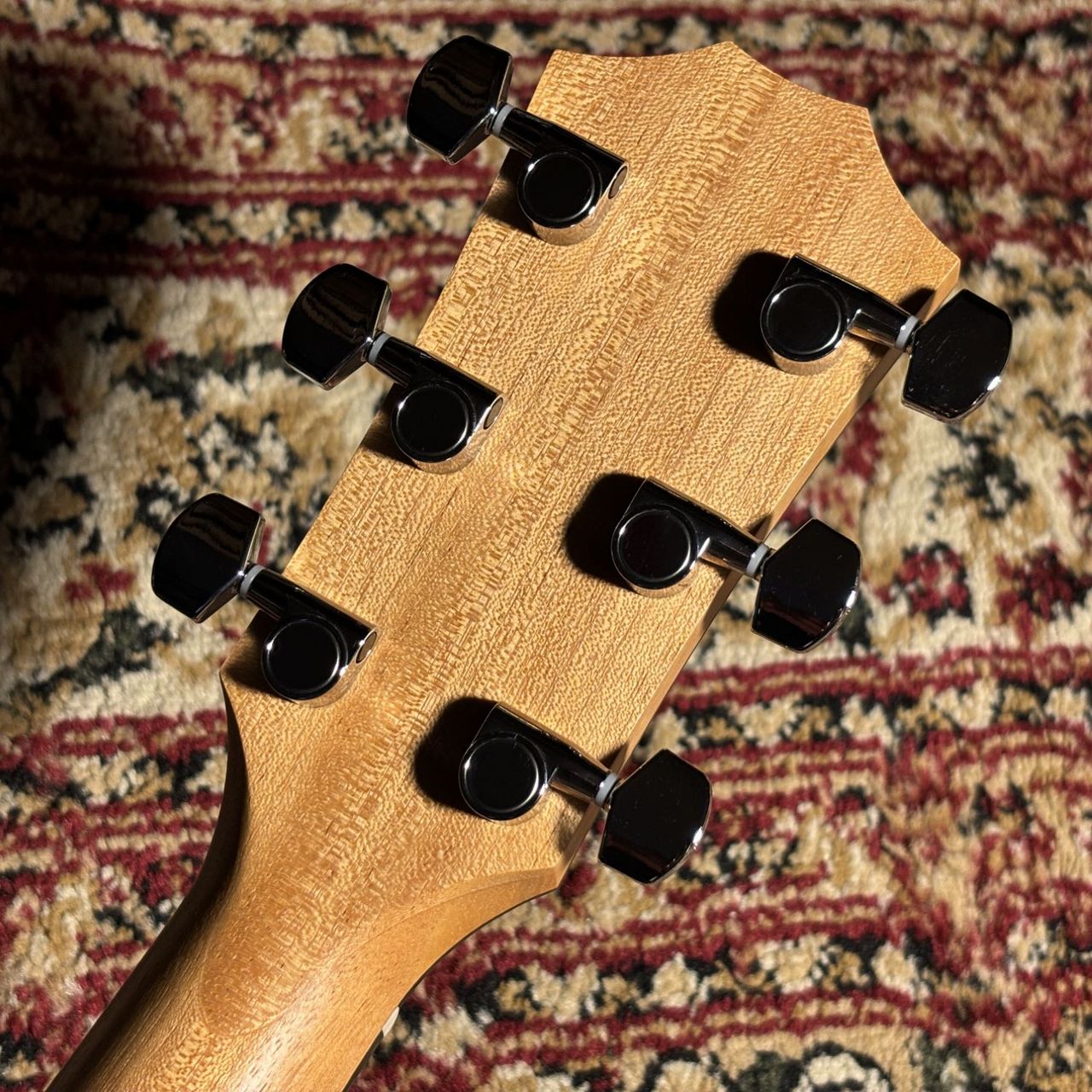 Taylor 214ce Walnut【現物画像】（新品/送料無料）【楽器検索デジマート】