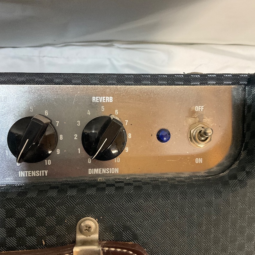 Ampeg J-12T（中古）【楽器検索デジマート】