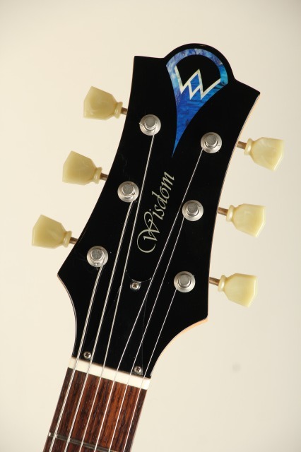 Wisdom Guitars DC5 Crystal Burst 2016（中古）【楽器検索