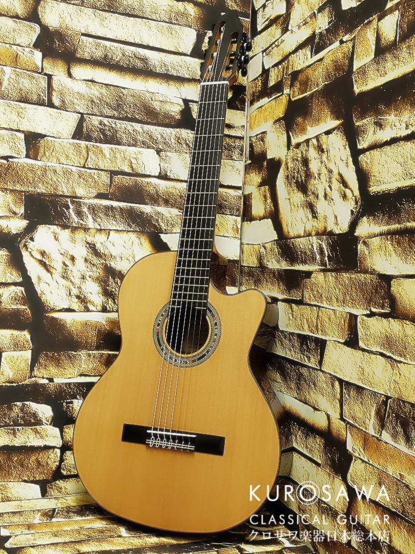 Orpheus Valley Guitars Orpheus Valley F65CW-7S 7弦 エレガット 杉 