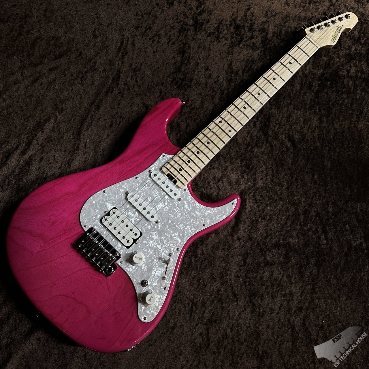EDWARDS E-SNAPPER-AS/M【See Thru Pink】（新品/送料無料）【楽器検索 