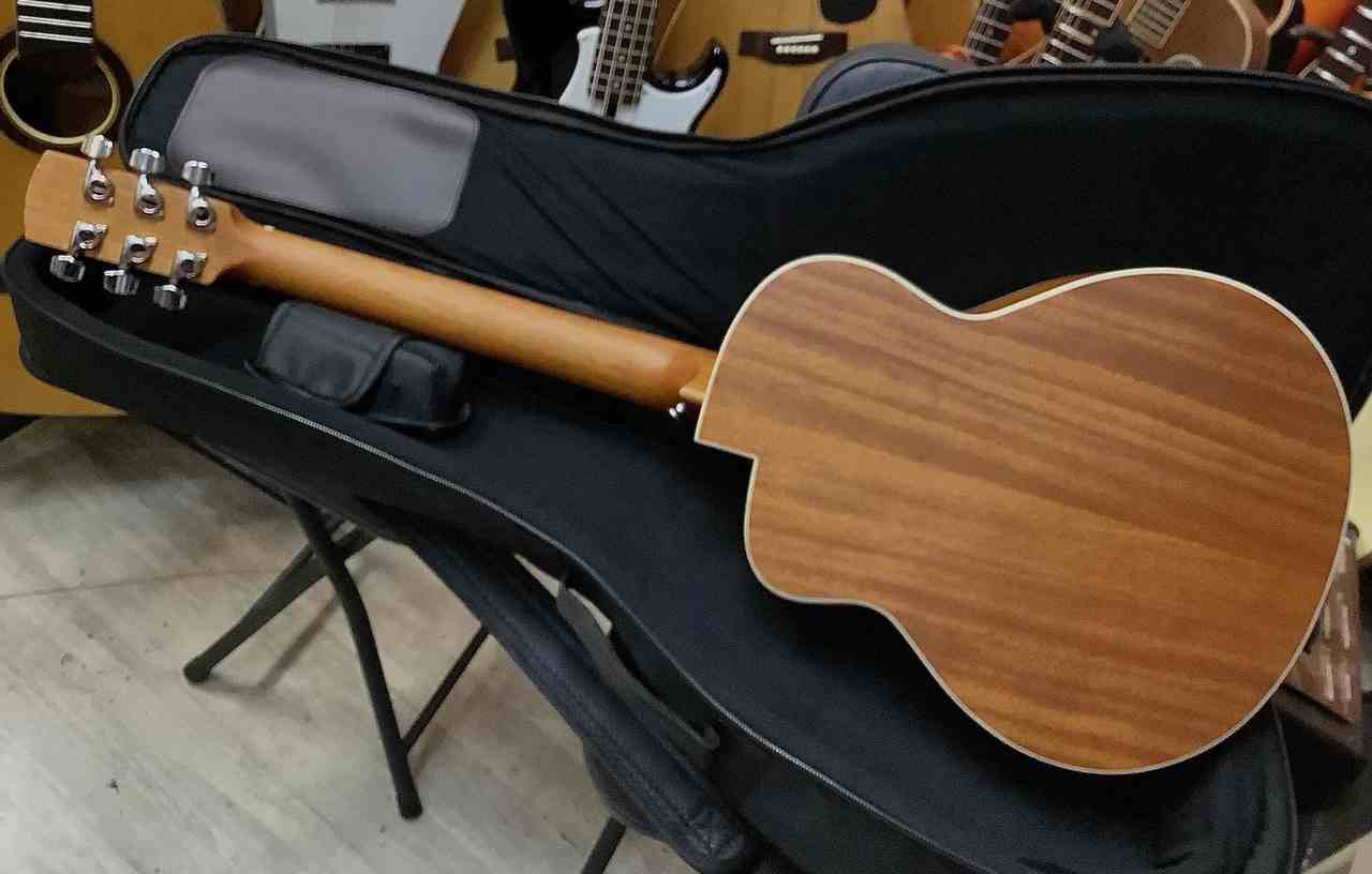 aNueNue aNN-M2 BirdGuitar 新品 aNueNue aNN-M2 大人気ミニギター
