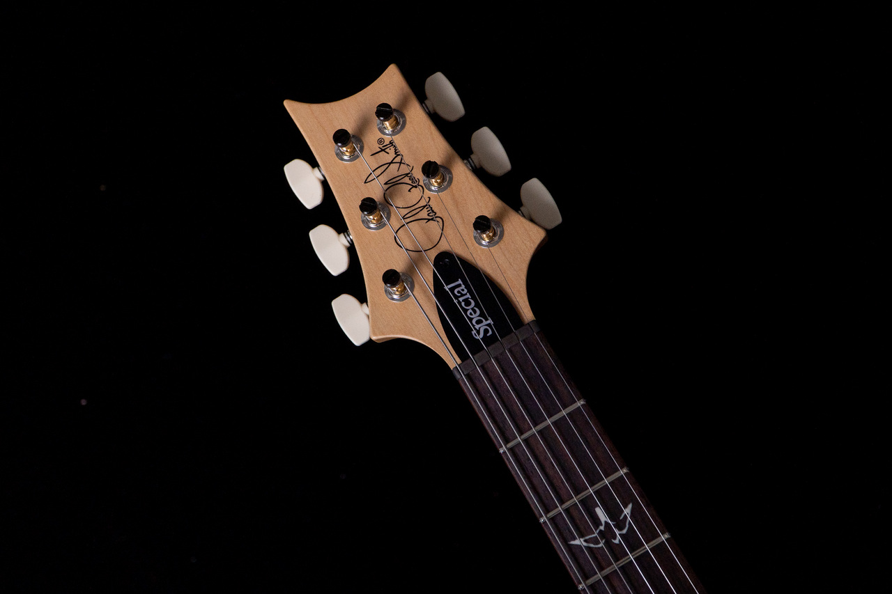 Paul Reed Smith(PRS) Swamp Ash Special Vintage Natural 3.31kg