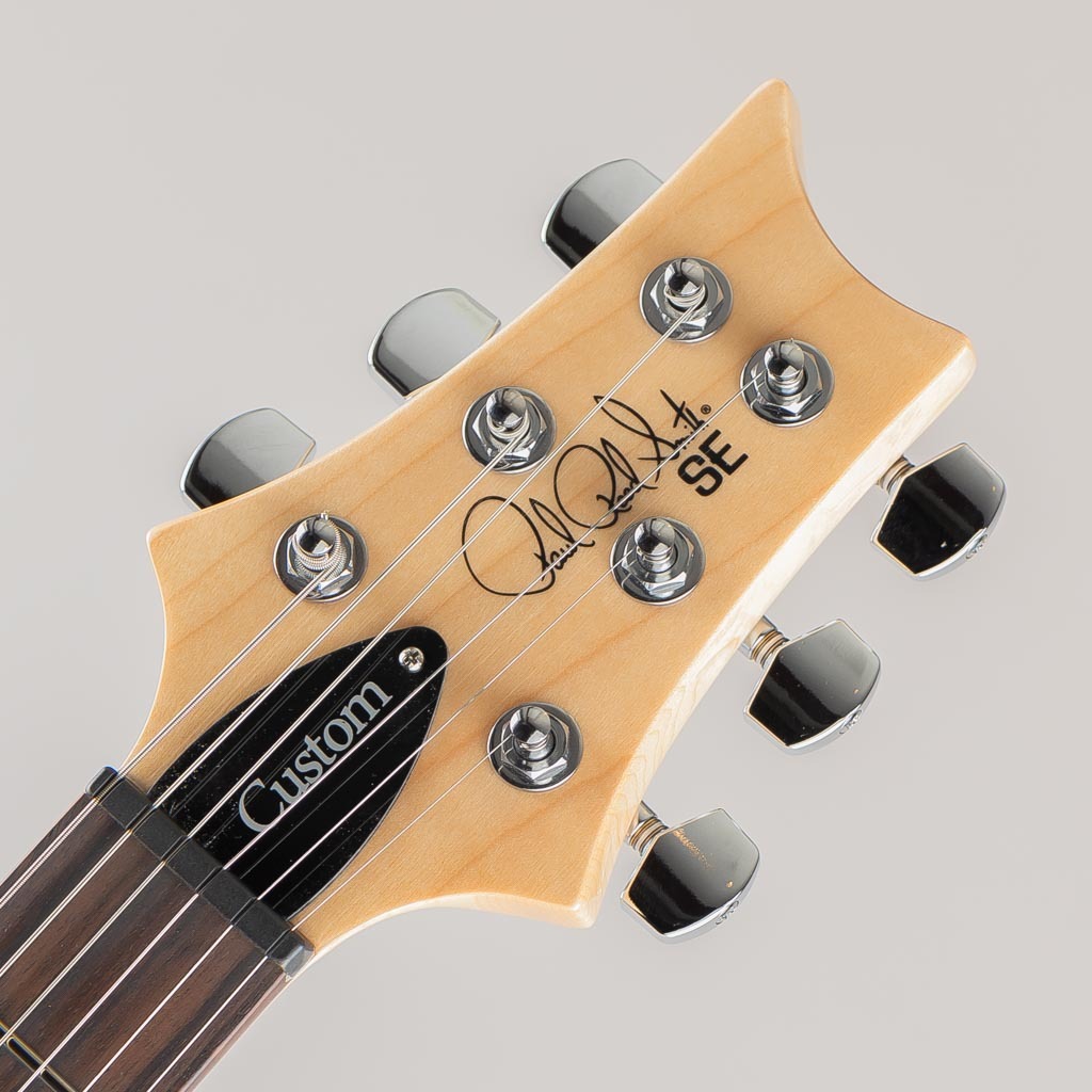 【お宝創庫中村店】Paul Reed Smith    SE Custom 24 Burled Ash  　エレキギター Paul Reed Smith(PRS) SE Custom 24 Burled Ash Limited Edition