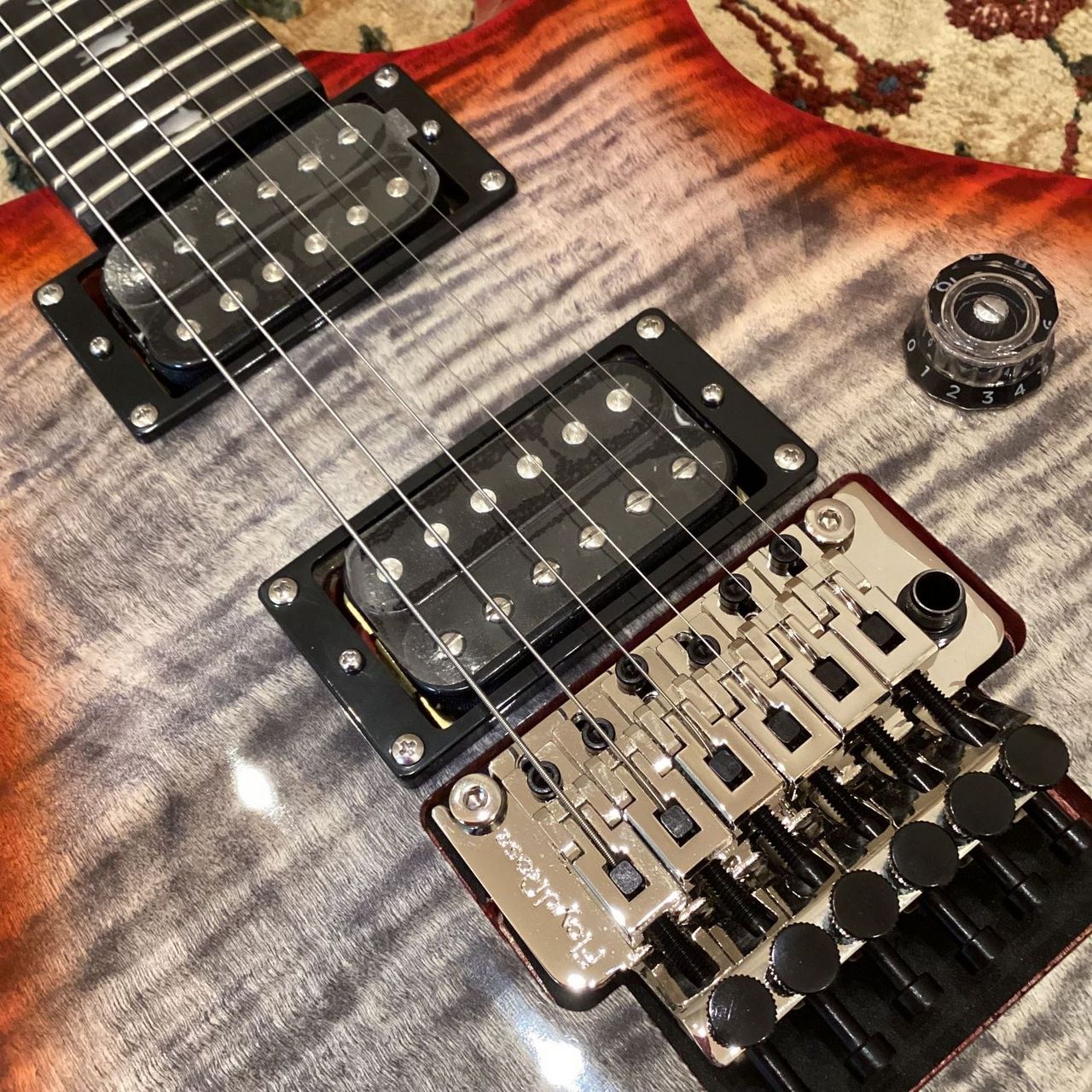 Paul Reed Smith(PRS) SE CUSTOM 24 FLOYD ／Charcoal