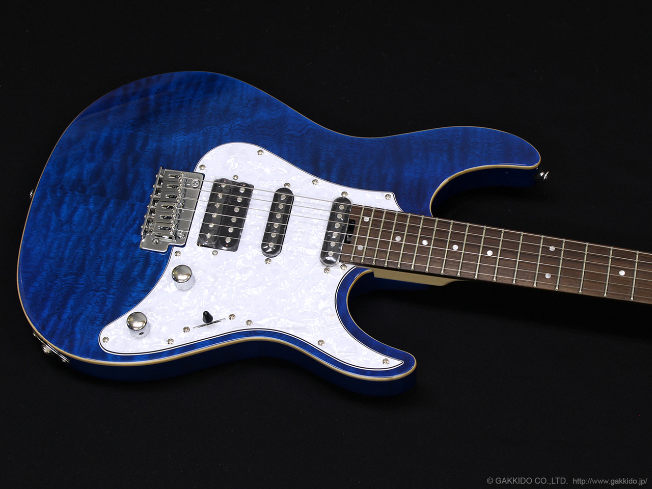GrassRoots G-SN-CTM Snapper [See Thru Blue]（新品/送料無料）【楽器