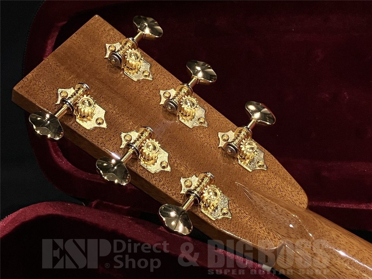 ASTURIAS E.C. CUSTOM 【Limited Model】（新品/送料無料）【楽器検索