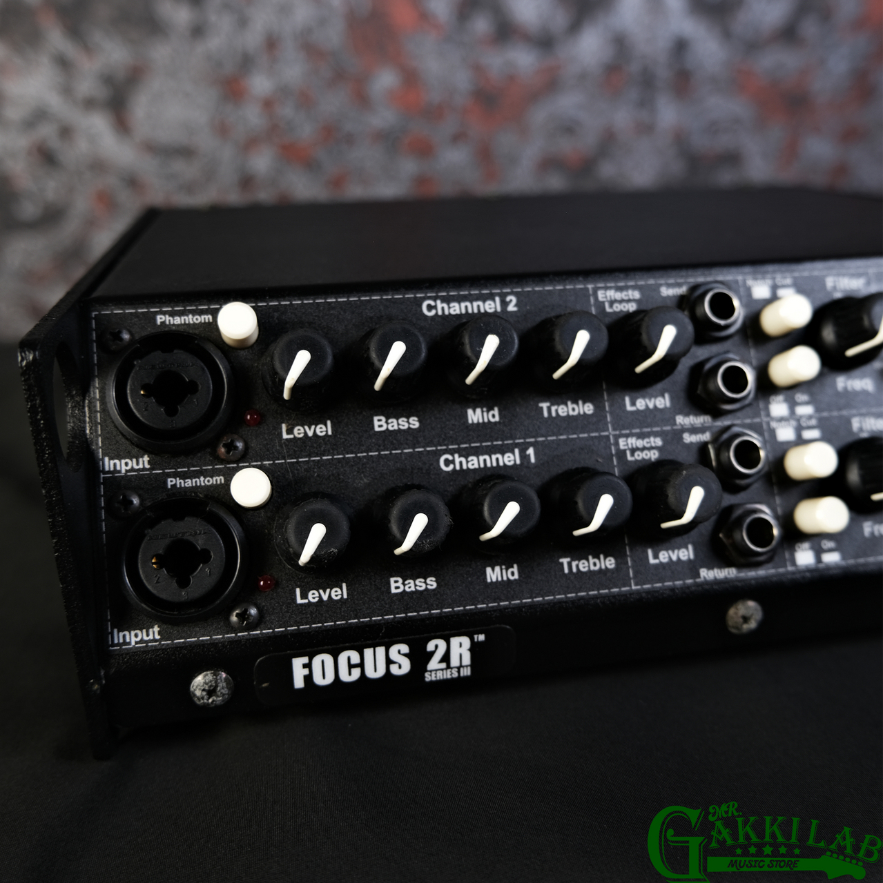 ベースアンプ　アコースティックイメージ CODA R SERIESⅢ Acoustic Image Coda R Series III Combo – Chicago Music Exchange