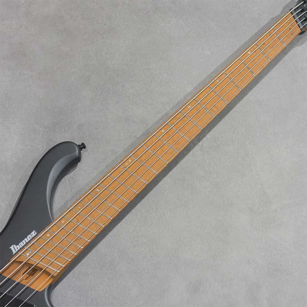 Ibanez EHB Workshop EHB1005MS-BKF【5弦マルチスケール・モデルが33