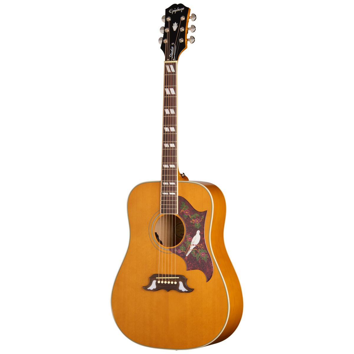 Epiphone Studio Collection Dove Studio Natural エピフォン（新品