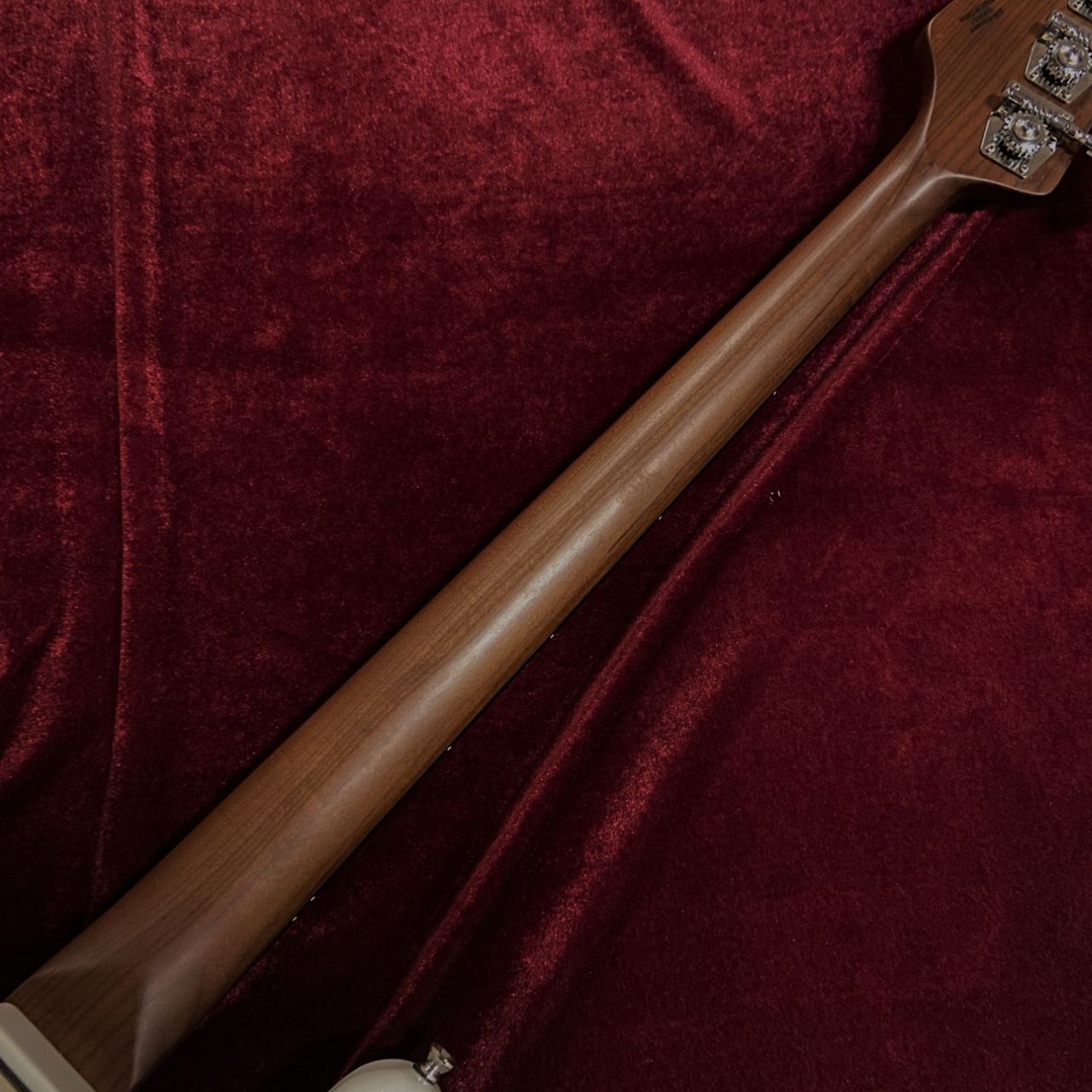 BUSKER'S BJB-Standard GWT（新品/送料無料）【楽器検索デジマート】