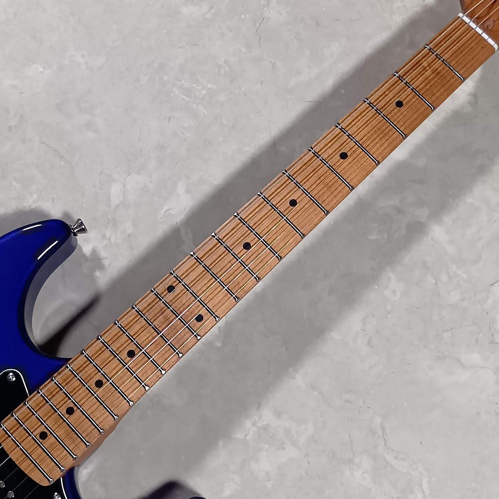 BACCHUS エレキギター Bacchus Guitars | ブランド | Deviser ｜株式会社ディバイザー