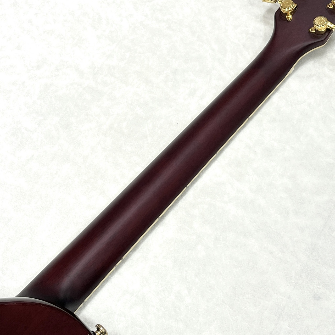 Sire Larry Carlton L7 New Gen Gold Hardware Tobacco Sunburst（新品