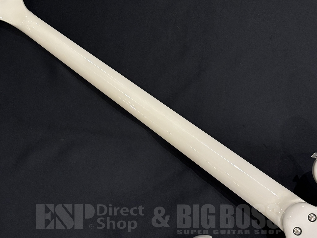Killer KB-Simmony / White（新品/送料無料）【楽器検索デジマート】