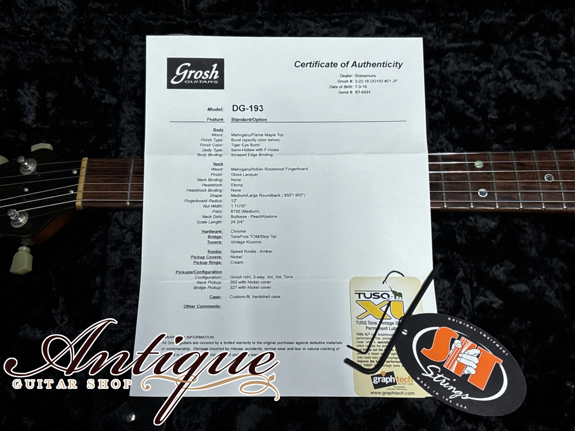 Don Grosh DG-193 Set Neck Semi-Hollow 2019 Tiger Eye Burst /Curved