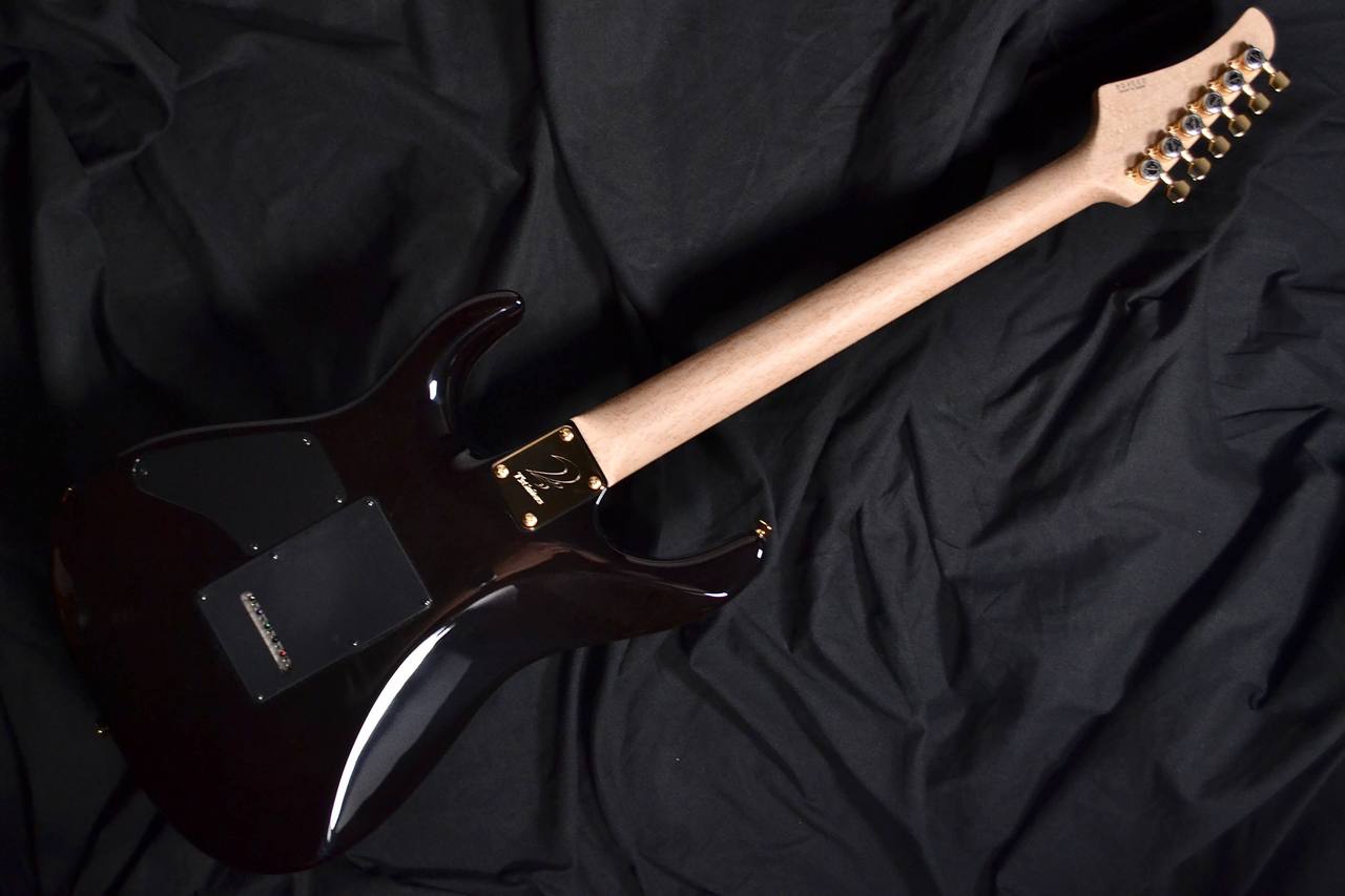 T's Guitars DST-Pro24CTM/5A Spalted Flame Maple Top/Bird's Eye