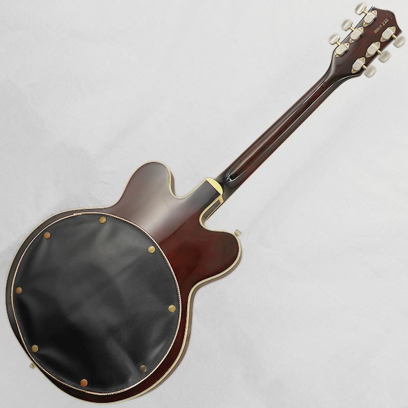 Gretsch VINTAGE 6122 Chet Atkins Country Gentleman '67（ビンテージ