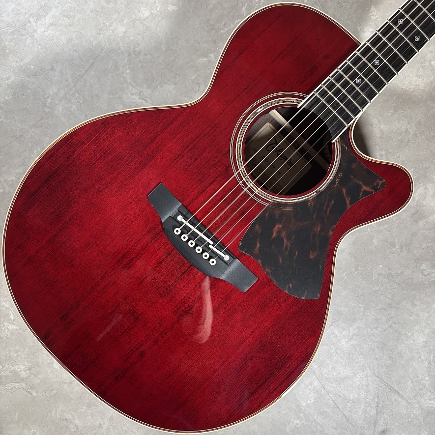 Takamine DMP50S WR エレアコギター セミハードケース付属 【島村楽器