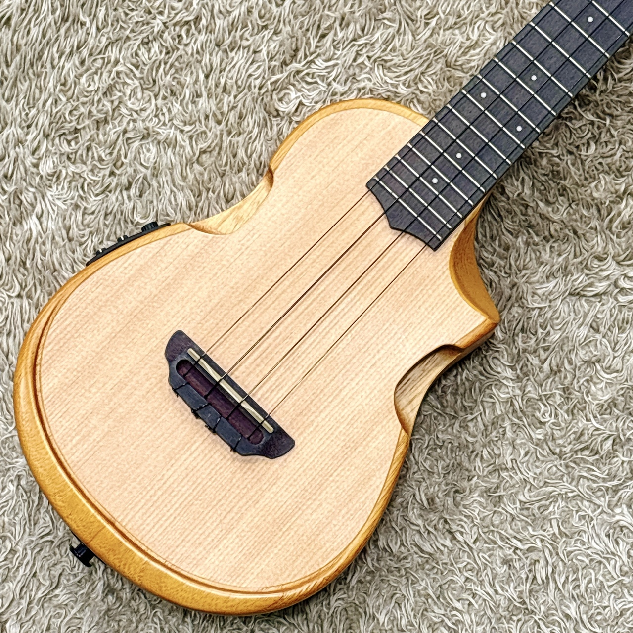 Ibanez AUC10E-OPN (Open Pore Natural) 【スポット品】【コンサート 
