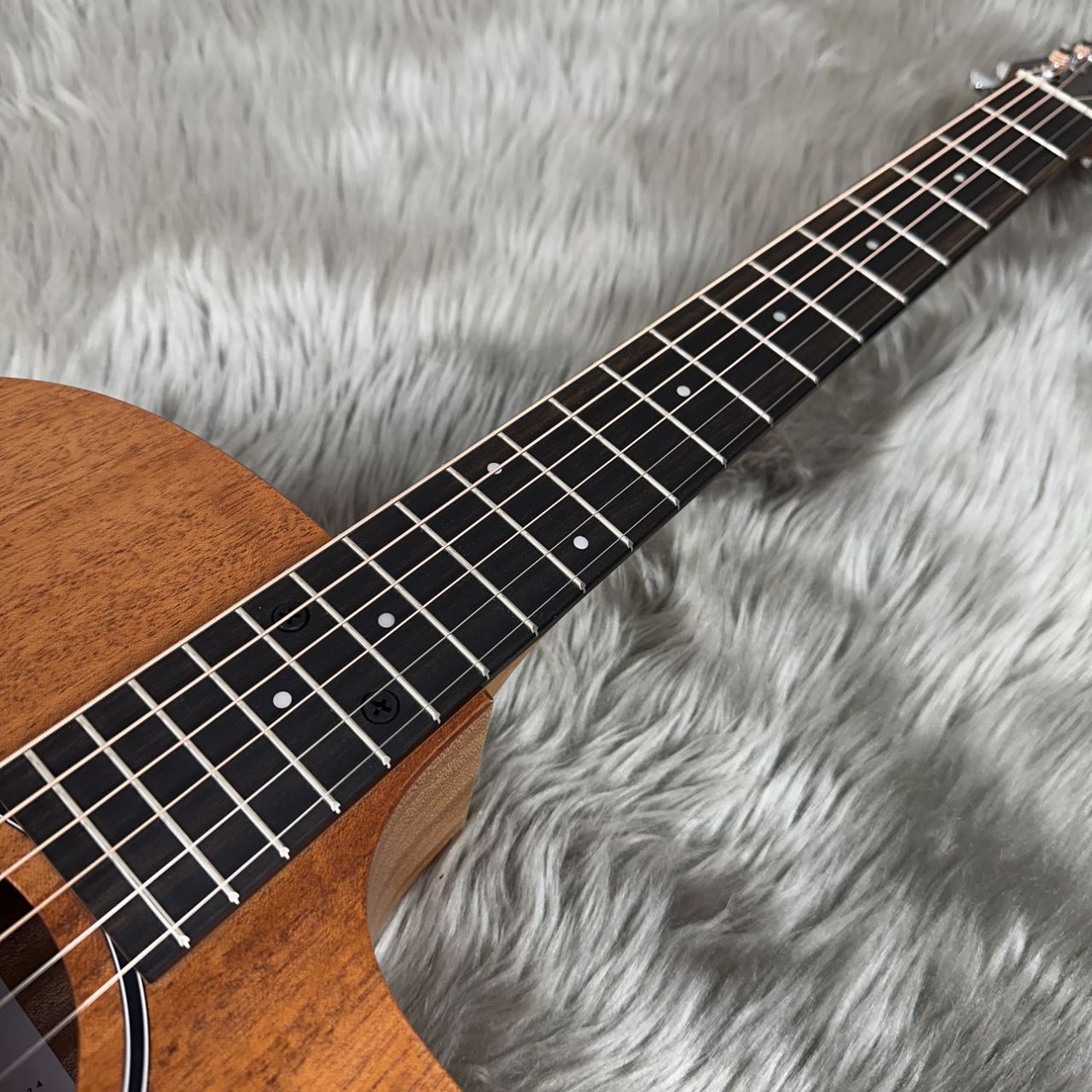 Taylor 【現物写真】24ce エレアコギター 2.03kg（新品/送料無料