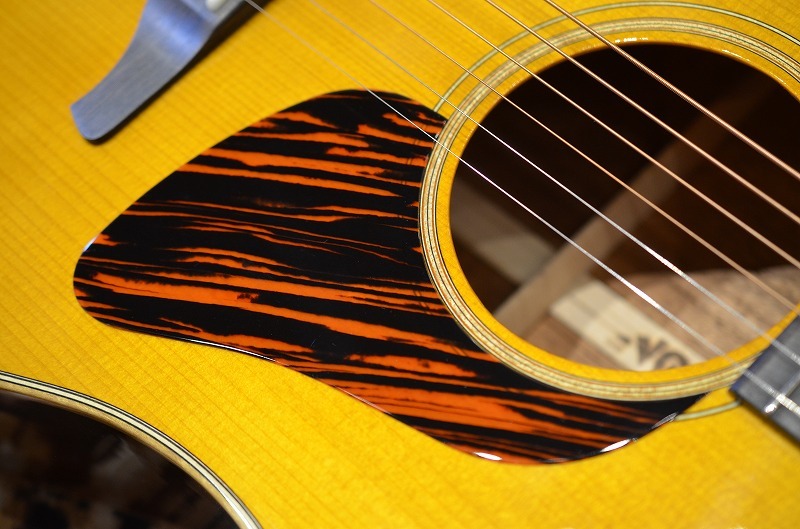 VG VG-03 Mahogany VN（新品）【楽器検索デジマート】