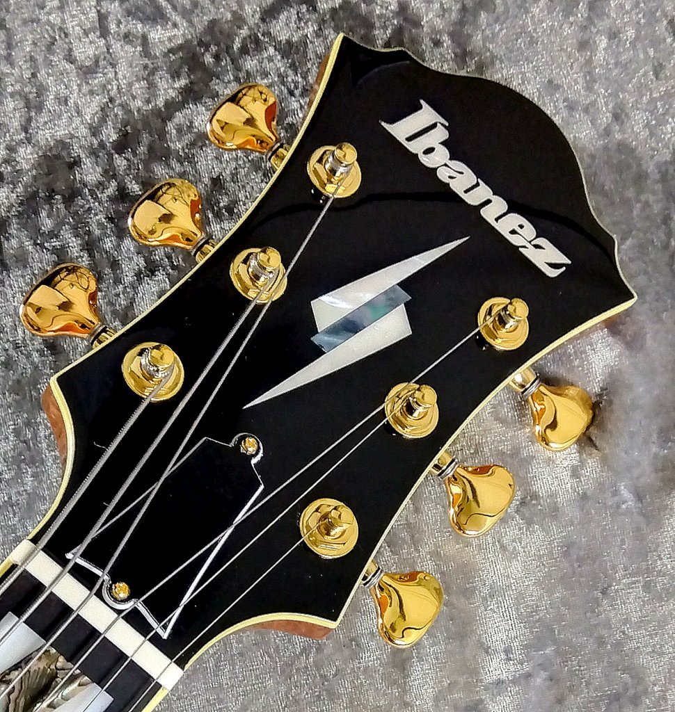 Ibenez PM2 PAT METHENY フルアコ パット・メセニー IbanezからPat Methenyの新シグネチャーモデルが発売!