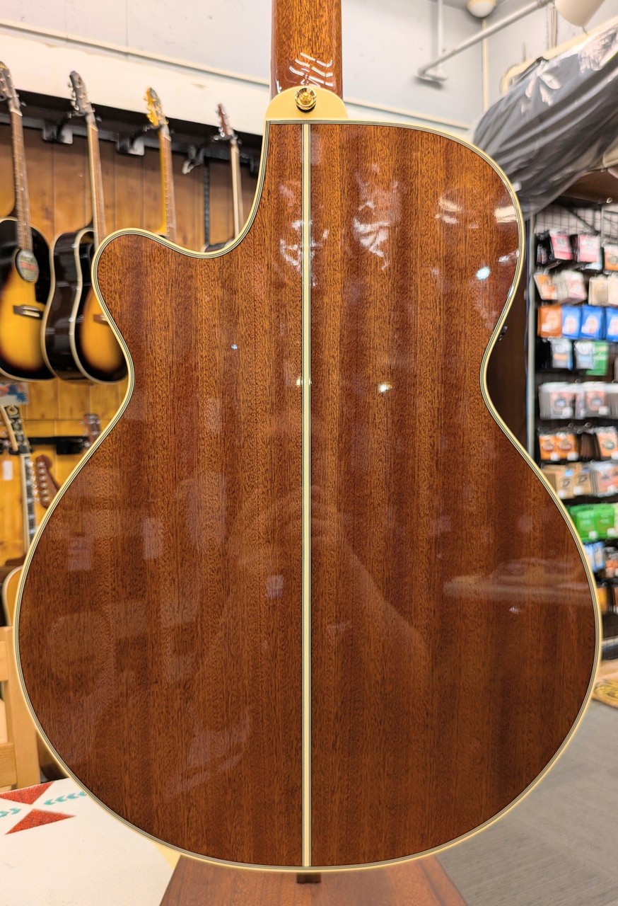 Takamine TSP138C N 【無金利分割OK】（新品/送料無料）【楽器