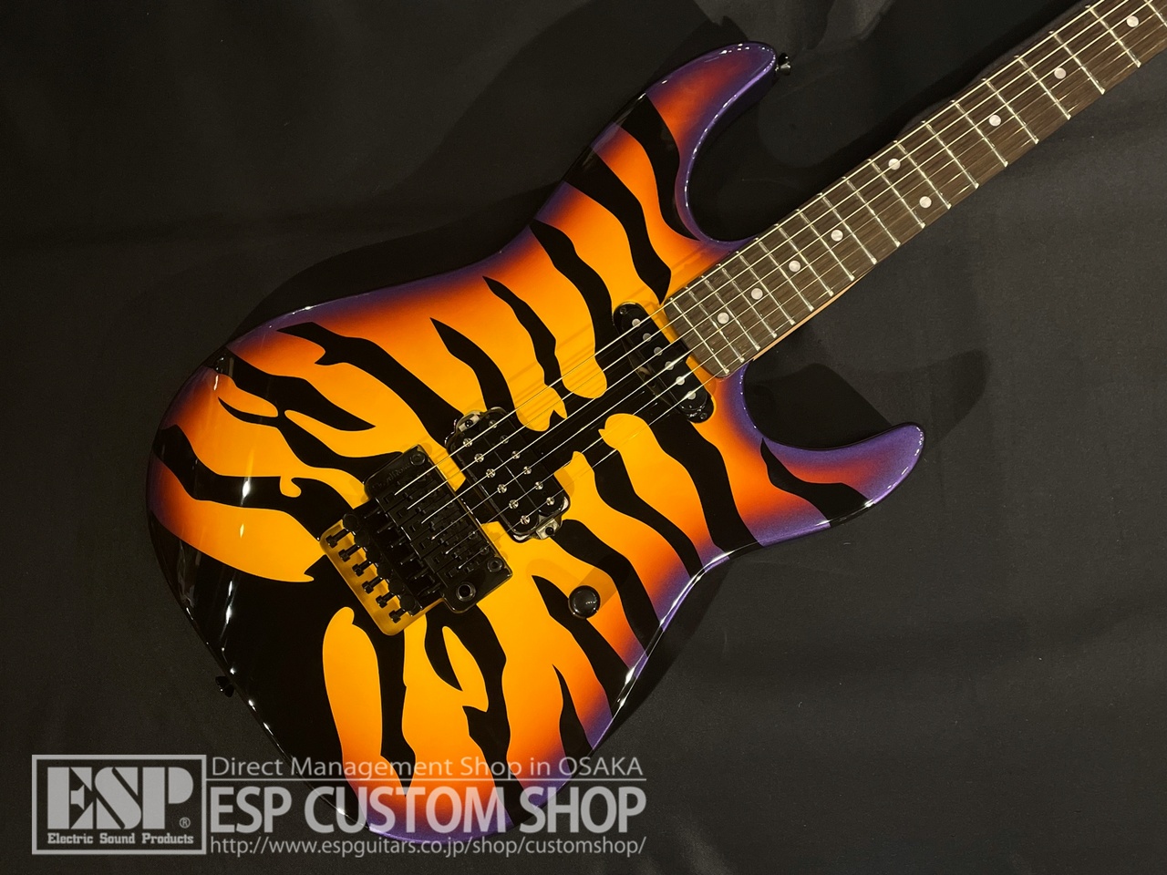 EDWARDS E-PURPLE TIGER（新品/送料無料）【楽器検索デジマート】