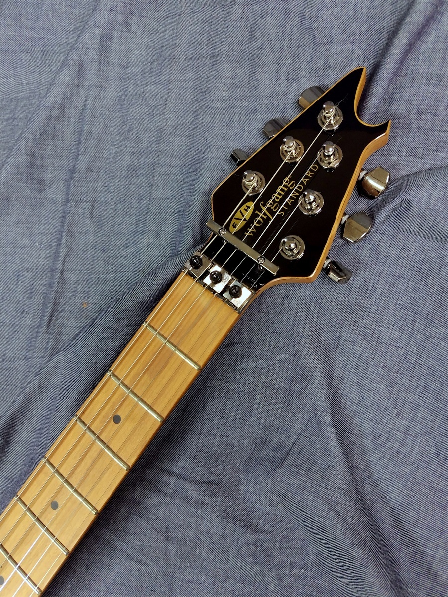 EVH WG STD BKD MPL WINE RED Wolfgang Standard Wine Red（新品特価