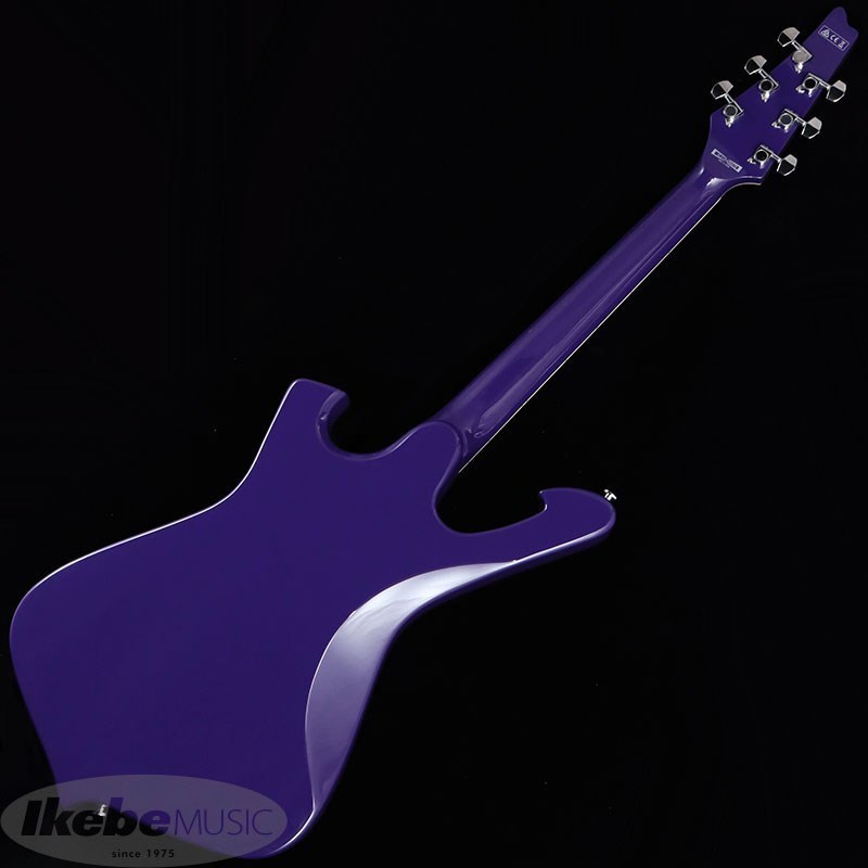 Ibanez FRM300GB-PR [Paul Gilbert Signature Model] 【特価