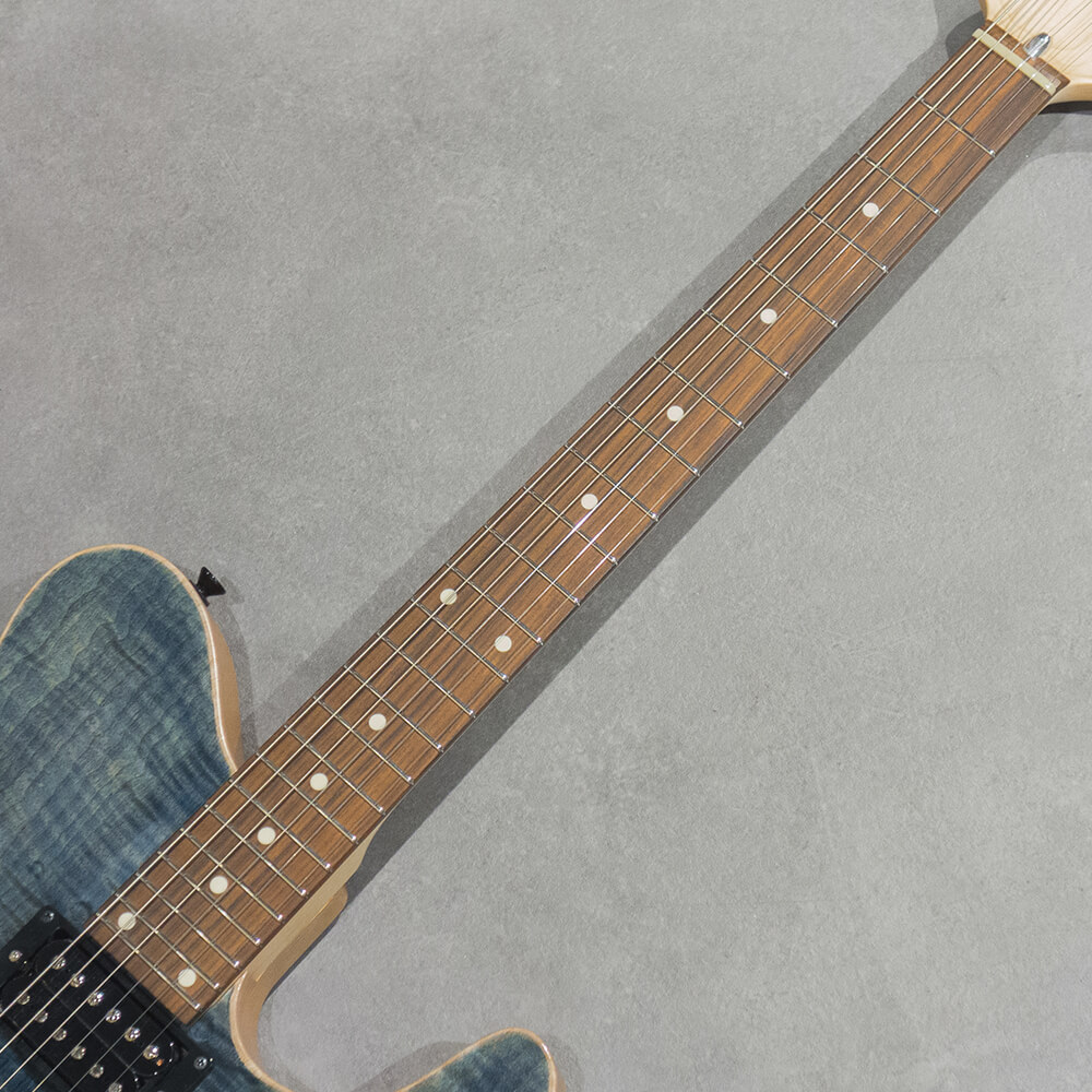 dragonfly BORDER 666 Custom Flame Maple/Alder/Ome Blue【ダウン